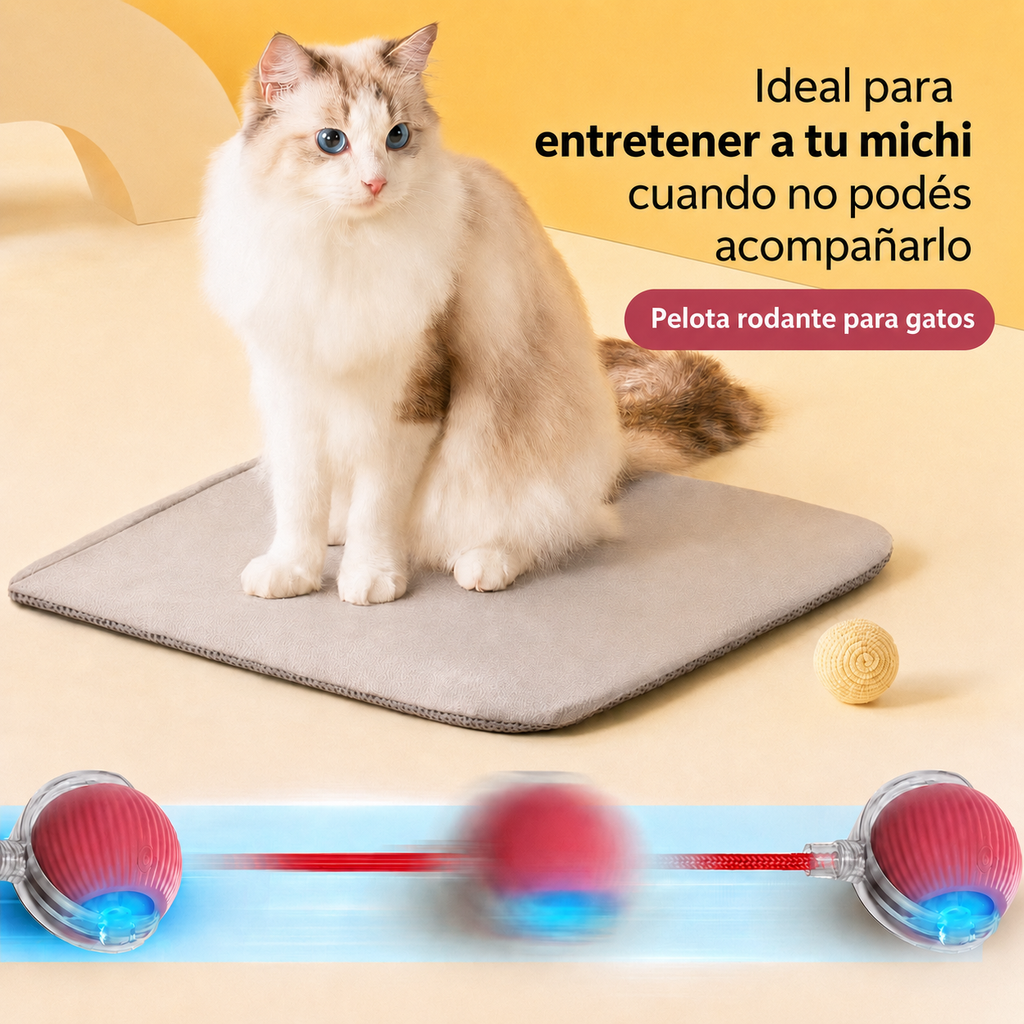 Michi Interactivo