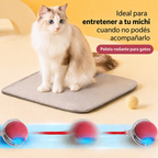 Michi Interactivo