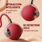 Michi Interactivo