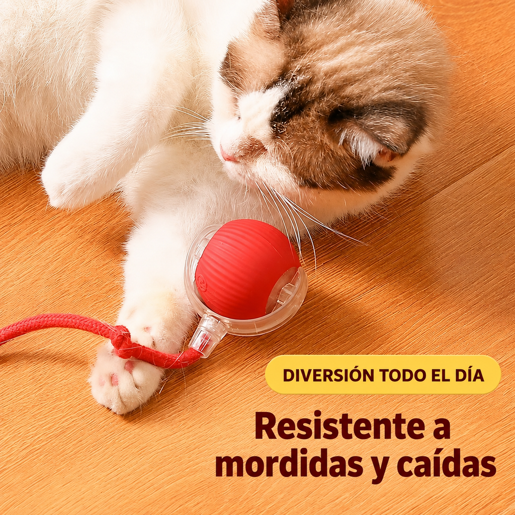 Michi Interactivo