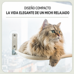 Michi Nube