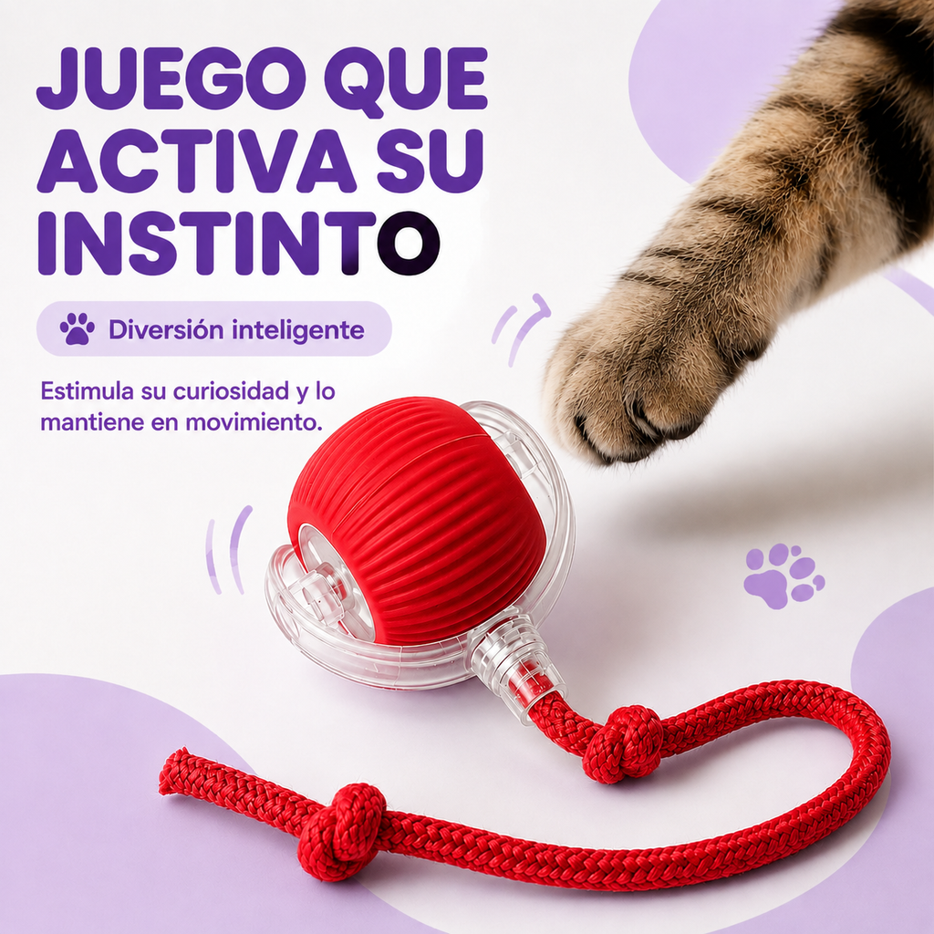 Michi Interactivo