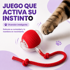 Michi Interactivo