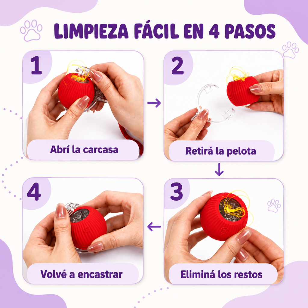 Michi Interactivo