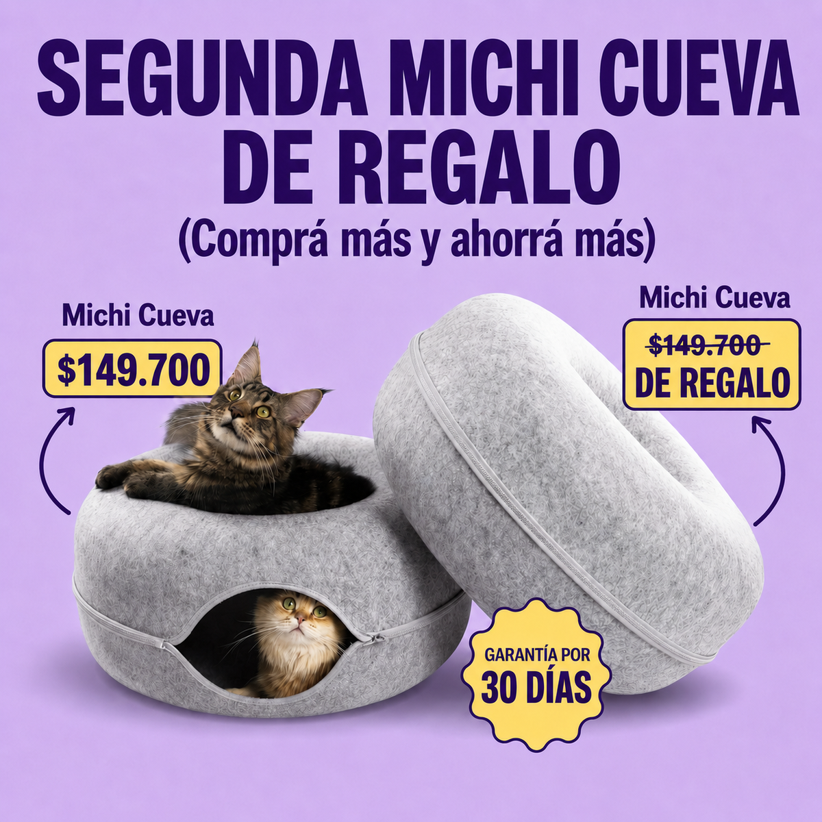 Michi Cueva